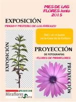 Exposición y proyección Mes de las Flores 2015