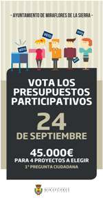 cartel votacion ciudadana