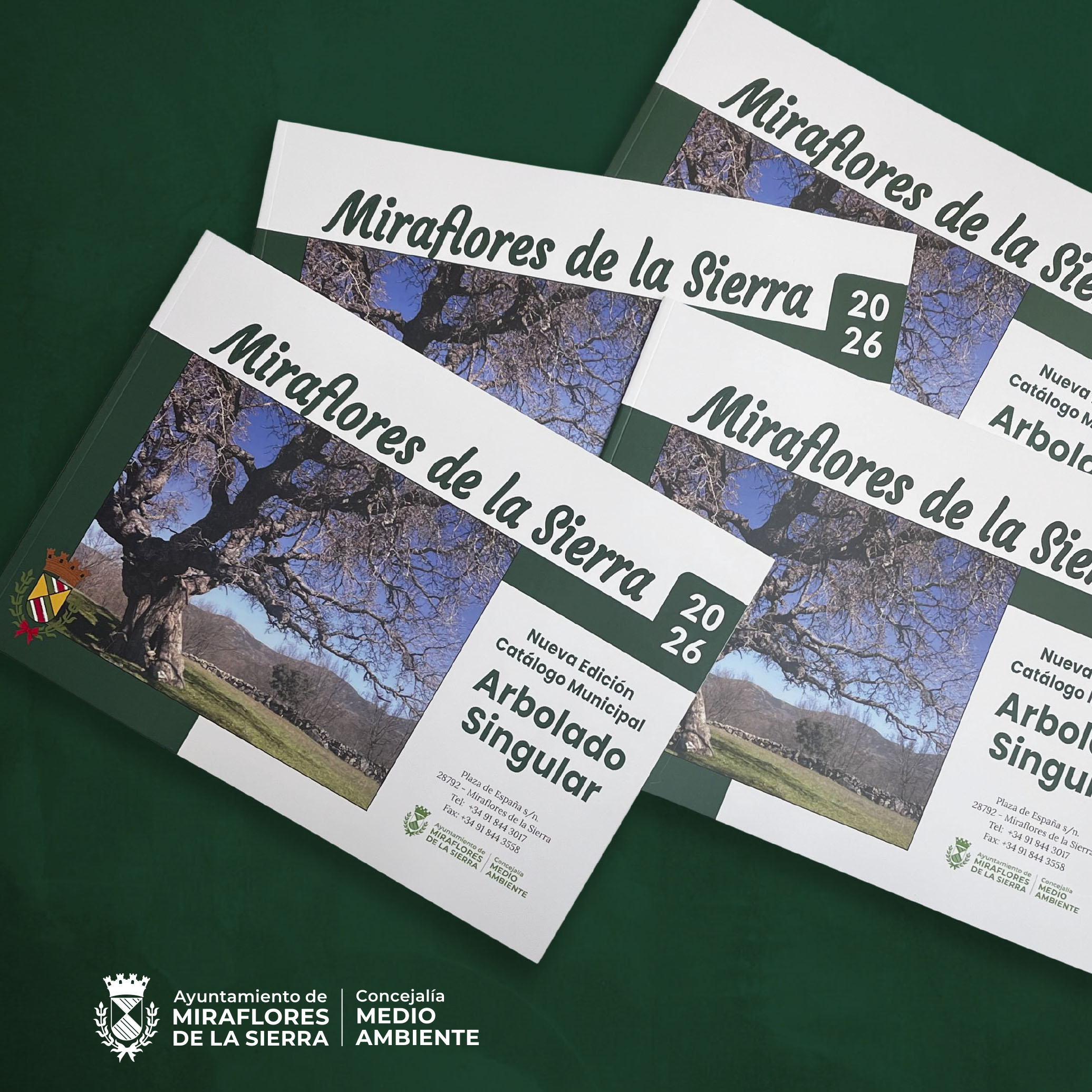 CATÁLOGO ARBOLADO SINGULAR