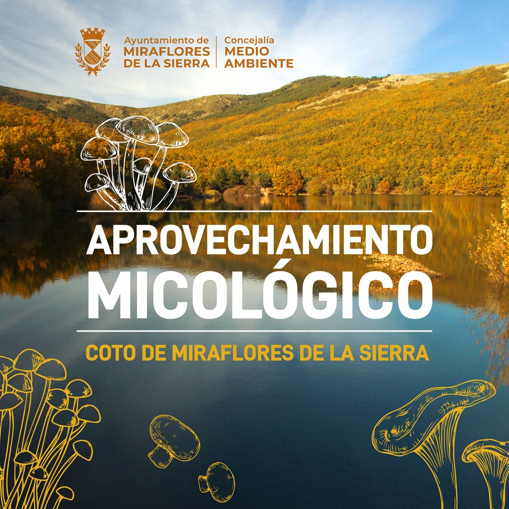 INFORMACIÓN APROVECHAMIENTO MICOLÓGICO