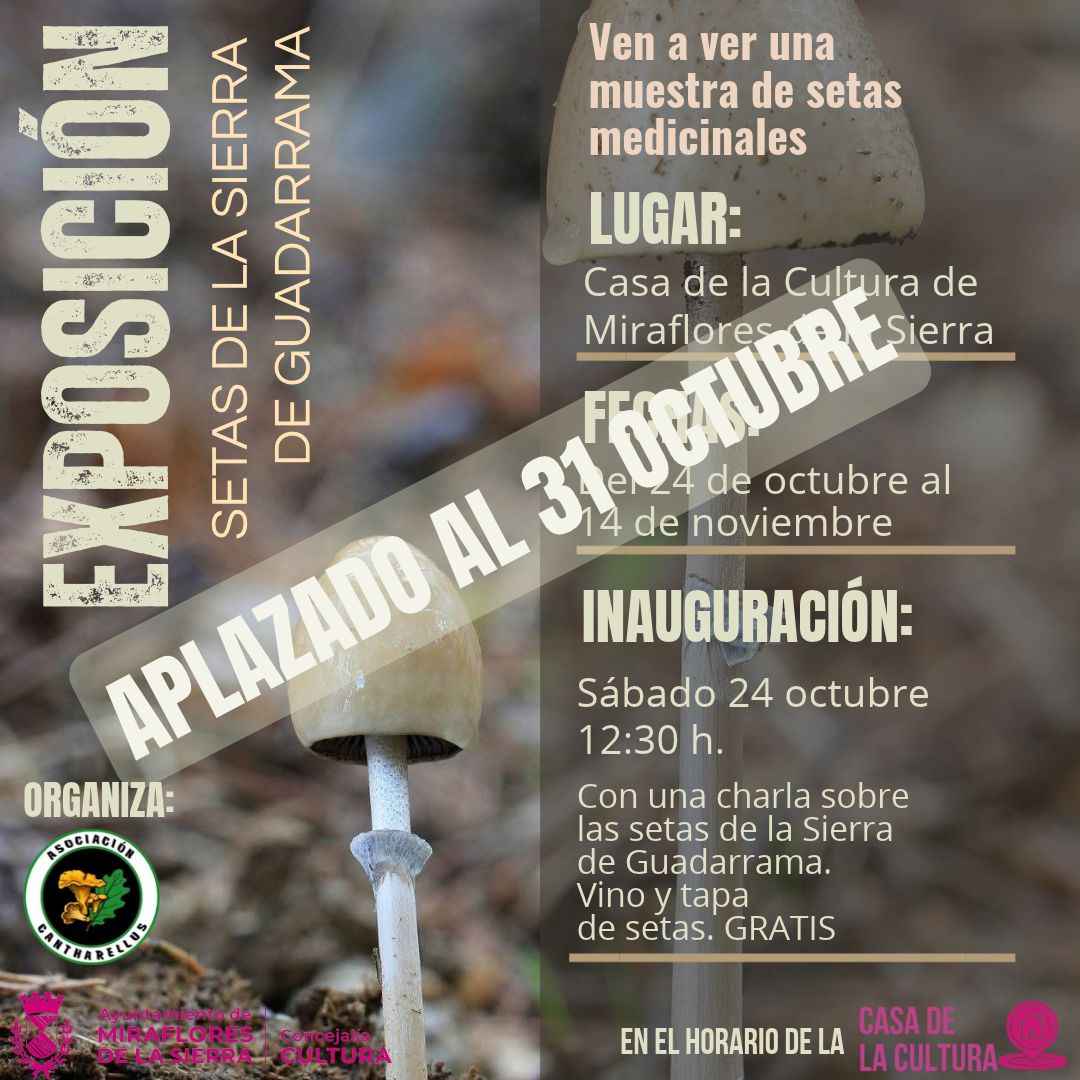EXPOSICIÓN MICOLÓGICA EN LA CASA DE LA CULTURA ¡APLAZADA!