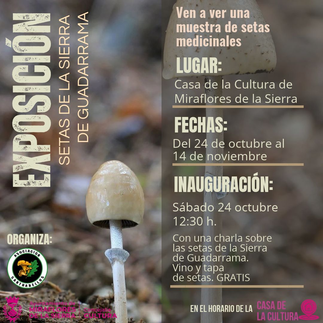 EXPOSICIÓN MICOLÓGICA EN LA CASA DE LA CULTURA